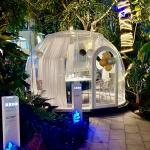 PC Dome House Glamping Bubble Tent For Outdoor Camping And Backyard Parties for sale
