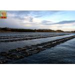 Plastic Aquaculture Netting Oyster Mesh Netting Roll With Square / Diamond Hole