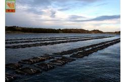 China Plastic Aquaculture Netting Oyster Mesh Netting Roll With Square / Diamond Hole supplier