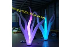 China Inflatable Seaweed , inflatable decorations , inflatable flowers, inflatable flowers decorations supplier