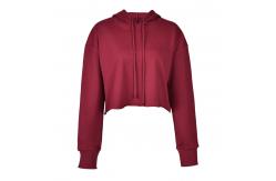 China Plus Size Pure Cotton women Unlined Oversized Pullover Hoodie supplier