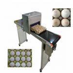 Egg Inkjet Batch Coding Machine ,  High Efficient Batch Code Printing Machine