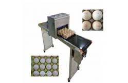China Egg Inkjet Batch Coding Machine ,  High Efficient Batch Code Printing Machine supplier
