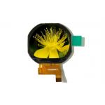 1.22 Inch Round TFT LCD Display Resolustion 240 RGB * 204 For Smart Watch for sale