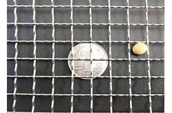 China 304 316 Galvanized Square Mesh Stainless Steel Crimped Woven Wire Mesh supplier