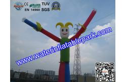 China Attractive Air Dancer Inflatable Advertising Rental  6M  with Parks supplier