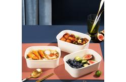 China Shunda SMD-80C Square And Rectangular Food Paper Bowl Making Machine supplier