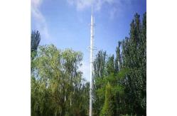 China 30m Self Supported Communication Antenna Tower supplier
