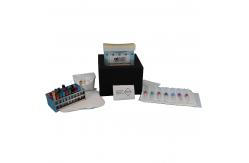 China Recyclable Absorbent Specimen Transport Convenience Kits Gravure Printing supplier