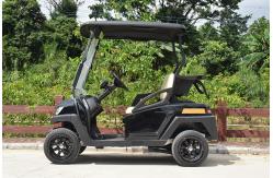 China Convenient Electric Golf Buggy Italy Graziano Axle 12/1 Trojan Battery supplier