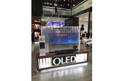 China See Through Digital Clear OLED Display / OEM Transparent OLED Signage supplier