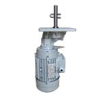 0.75 Kwatt Poultry Parts Gear Drive Engine Motor for sale