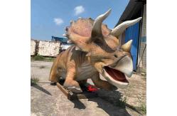 China Jurassic World Dinosaur Theme Exhibitions Realistic Animatronic Dinosaur Triceratops Model supplier