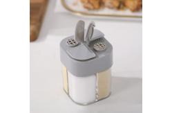 China Four Grid Pepper Powder Transparent Spice Box Seasoning Jar Outdoor Portable supplier