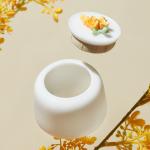 Functional Design 4.7DIAX7”H Ceramic Container With Lid Multifunctional
