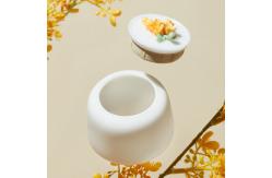 China Functional Design 4.7DIAX7”H Ceramic Container With Lid Multifunctional supplier