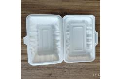 China Eco Friendly 900ml Corn Starch Tableware Takeaway Food Container Biodegradable supplier