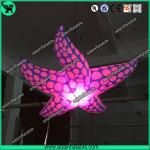New Brand Event Decoration Lighting Blue Inflatable Starfish/Ocean Event Decoration for sale