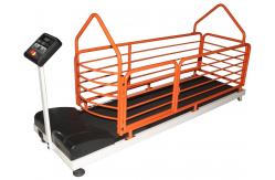 China SGS 12km/H Indoor Dog Treadmill , Dog On Running Machine supplier