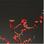 High Simulation Artificial Prunus Mume Tree 70cm Height