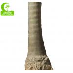 Royal 15m Artificial Coconut Palm Trees For Outdoor And Indoor