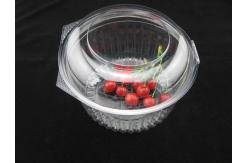 China Salad Clamshell Packaging Plastic Food Storage Container 17oz supplier