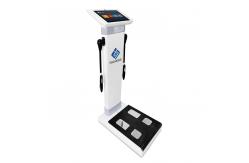 China Electronic Height Weight Fat and BMI Health Scale and Fat Analysis supplier