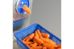 China 1800pcs/H 220V Fruit And Vegetable Peeler Machine Carrot Paring Equipment supplier