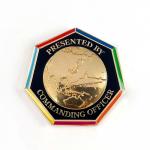 Personalized Custom Brass Enamelled Custom Challenge Coins One Side with Design