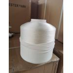 Raw White Polyester Embroidery Thread 108D/2 ZS Twist High Strength for sale