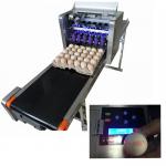 Environmental Protection Egg Date Lot Batch Code Printer With USB Storage