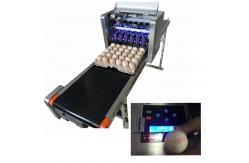 China Environmental Protection Egg Date Lot Batch Code Printer With USB Storage supplier