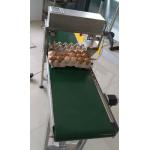 KP-17A egg printing machine for sale