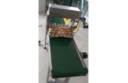 China KP-17A egg printing machine supplier