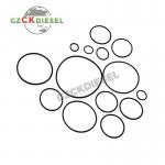 High Quality Repair Kits 094040-0030 0940400030 for Common Rail HP0 Pump