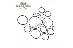 China High Quality Repair Kits 094040-0030 0940400030 for Common Rail HP0 Pump supplier