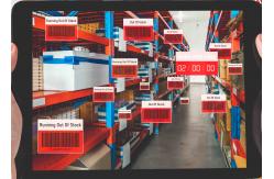 China LCL Ocean / Sea Freight Forwarder Container Cargo Transportation Amazon Fba supplier