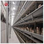 H Type Battery Chicken Farming Cage Automatic Durable for sale