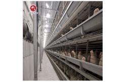 China Ventilational Automatic Layer Cage System , 4 Tier 120 Birds Chicken Battery Cages supplier