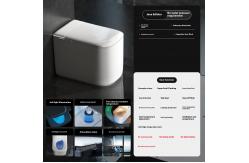 China Ceramic Auto Flush One Piece Intelligent Bidet Toilet Electric for Bathroom supplier