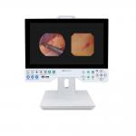 TUYOU Full HD 1080P 15.6 Inch All In One Medical Endoscopy Camera System For ENT Sinus Urology for sale