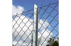 China 8ft Height Galvanized Chain Link Fence Zoo Wire Mesh For All Animals supplier