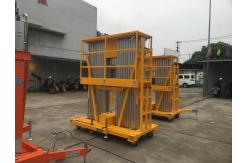 China 14m Double Mast Aerial Work Platform , Durable Awp Equipment 150Kg Loading supplier