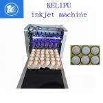 Automatic Egg Inkjet Batch Coding Machine To Enhance The Product Image