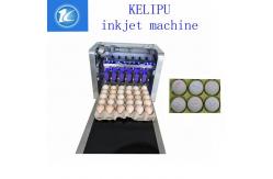 China Automatic Egg Inkjet Batch Coding Machine To Enhance The Product Image supplier