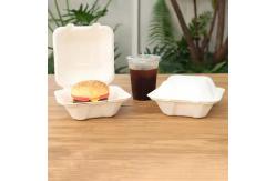 China Oil Resistant and Biodegradable Customized Disposable Bagasse Burger Box for Food Container supplier