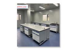China High Safety and Multifunctional Chemistry Lab Casework for Educational Institutions supplier