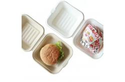 China Custom Biodegradable Kraft Burger Box Low MOQ Solution for Fast Food Packagin supplier
