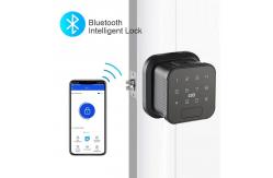 China TTlock Zinc Alloy Door Lock Remote Control Bluetooth Keypad Door Lock supplier