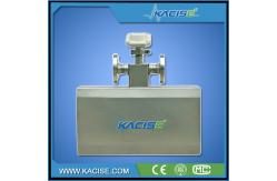 China high reliability Paint mass flow meter with pressure rating 0~4.0MPa supplier